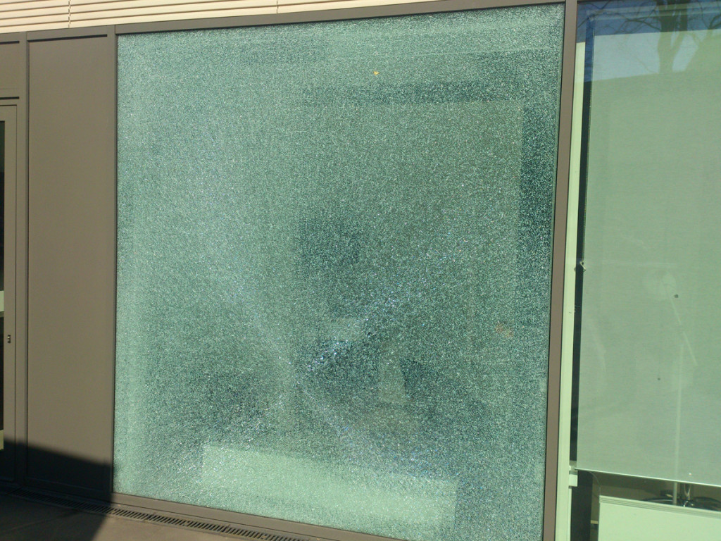 Vidy tonirovki dlja vashej kvartiry1